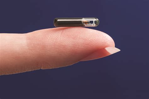 rfid chips for sale